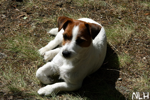 100719 inka3.jpg - On holiday